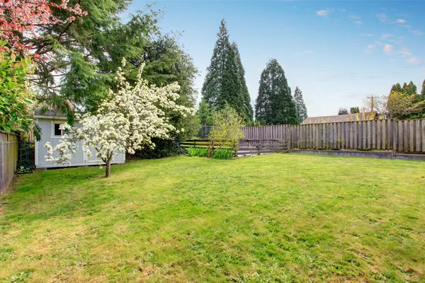 Patio cercado con jardín lleno de hierba y pequeño cobertizo . — Foto de Stock