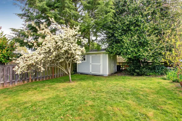 Fenced backyard with grass filled garden and small shed. — Stock Photo, Image