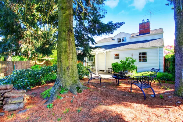 Huis exterieur. Achtertuin met patio en grote pijnbomen. — Stockfoto