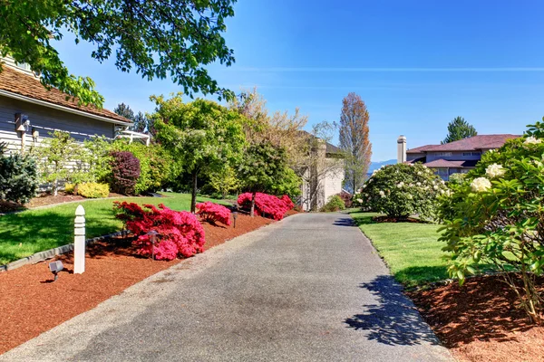 Concrete driveway to the building with nicely landscape design. — Stock Photo, Image