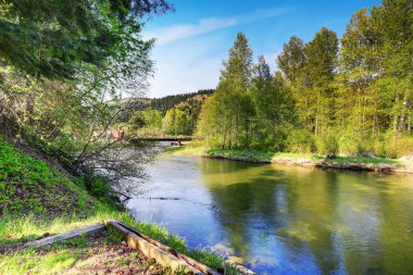 Muhteşem dağ nehir manzarası doğal peyzaj ile