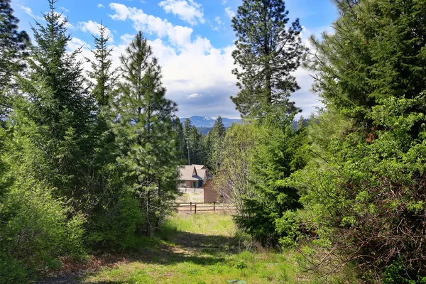 Maison extérieure entourée d'arbres — Photo