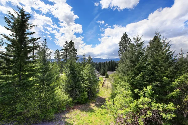 Maison extérieure entourée d'arbres — Photo