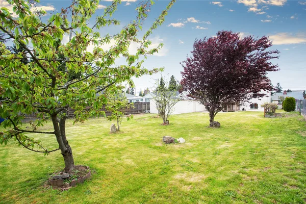 Nice spacious Backyard garden with fruit trees. — Stock Photo, Image