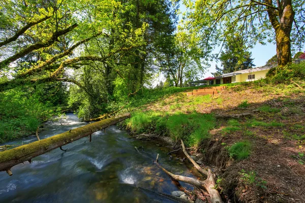Horská řeka pohled v zelené zahradě americká rambler — Stock fotografie