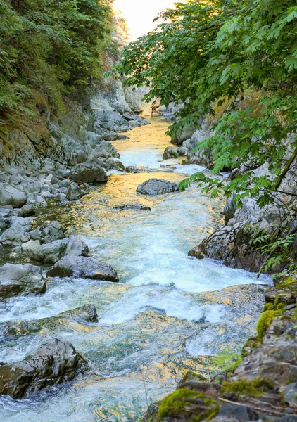 Mountain river. Robe Canyon Historic Park - Lime Kiln Trail — Stock Photo, Image