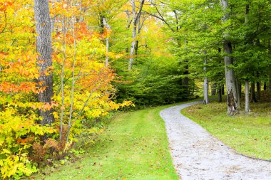 Yol Güz, Stowe. Sonbahar manzara. Vermont