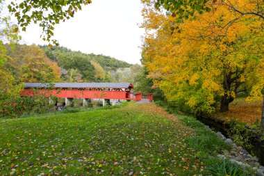 Nehir üzerinde kırmızı kapalı köprü. Sonbahar manzara
