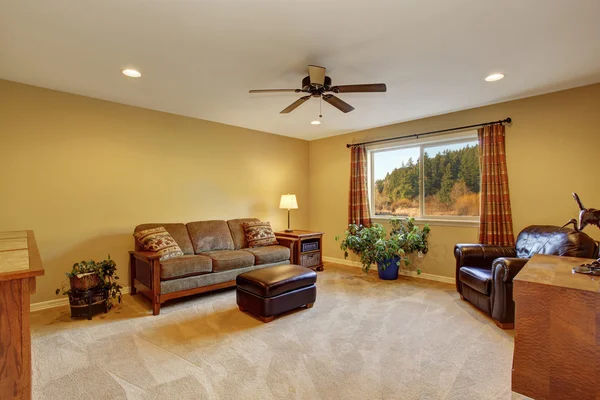 Living room iinterior with sofa, carpet floor — Stock Photo, Image