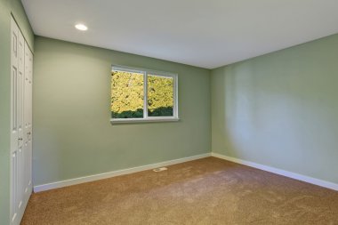 Yeşil tonlarda duvarlar ile boş oda