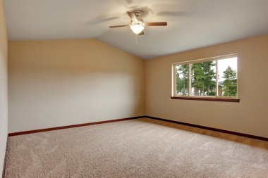 Boş oda iç Halı zemin ile