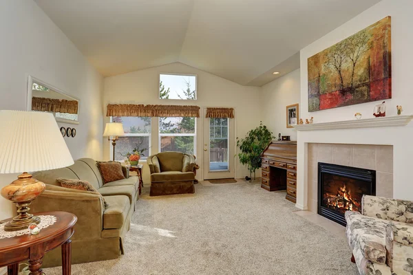 Interior acolhedor sala de estar com lareira e piso de carpete — Fotografia de Stock