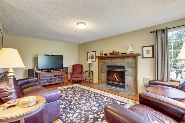 Living room interior with fireplace, hardwood floor, rug — Stock Photo, Image