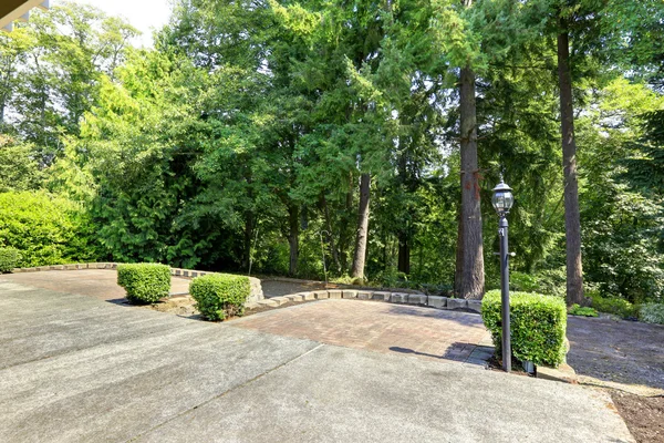 Вид на задний двор с бетонным полом и много деревьев вокруг . — стоковое фото