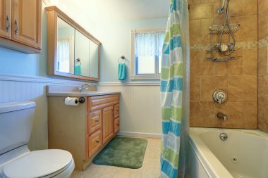 Yumuşak mavi ve yeşil tonlarda tatlı banyo iç 