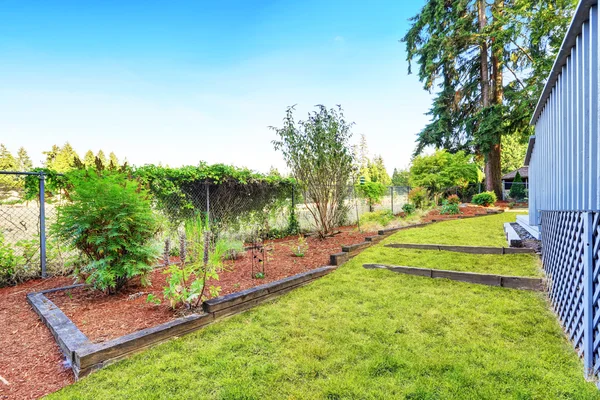 Backyard garden with green grass — Stock Photo, Image