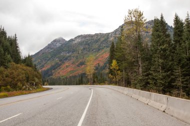 Yolun orman yoluyla. Sonbahar manzara