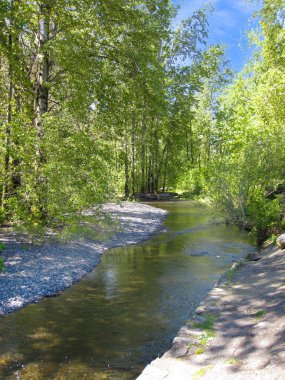 Küçük orman nehir çakıl sahil ile görünümünü. 