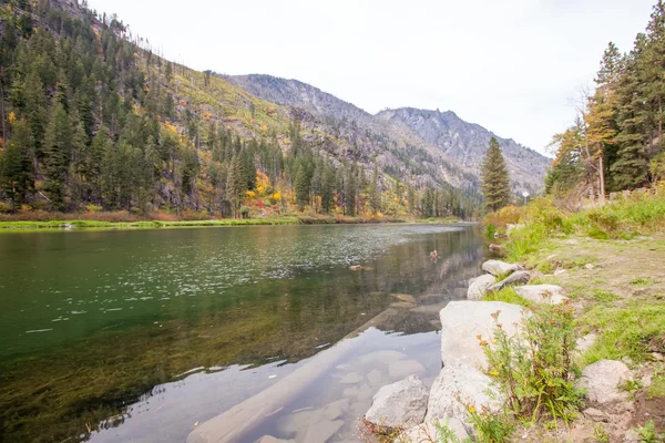 Scenic Mountain green Wenatchee river with transparent water. — Stok Foto