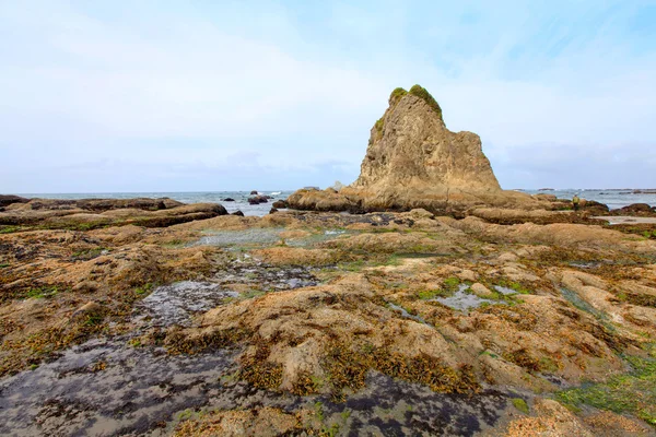 Moosbewachsene Felsen entlang der Küste am ersten Strand in la push — Stockfoto