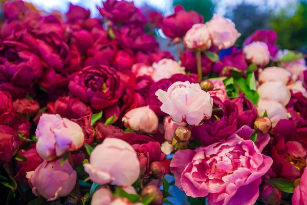 Bukett av pion blommor på jordbrukarna gädda marknaden, kort skärpedjup — Stockfoto