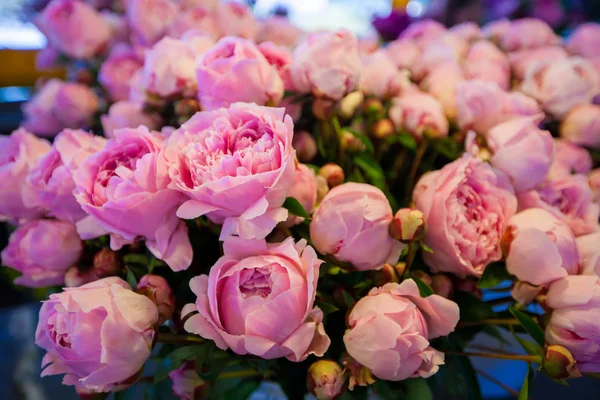 Bukett av pion blommor på jordbrukarna gädda marknaden, kort skärpedjup — Stockfoto