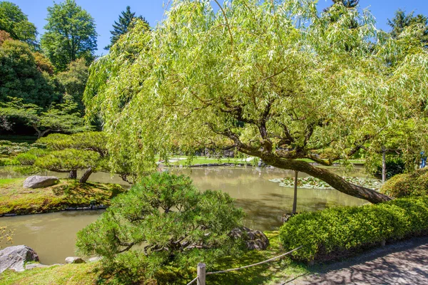 Jardín japonés de Portland. Bonito diseño de paisaje. Jardín bien cuidado . — Foto de Stock