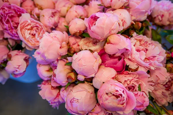 Bouquet of peony flowers on the farmers Pike  market, shallow depth of field — Stock Photo, Image