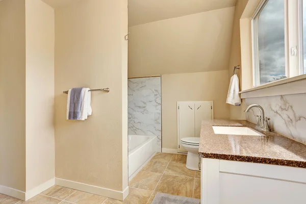 Intérieur salle de bains avec meuble vanité et comptoir en granit — Photo