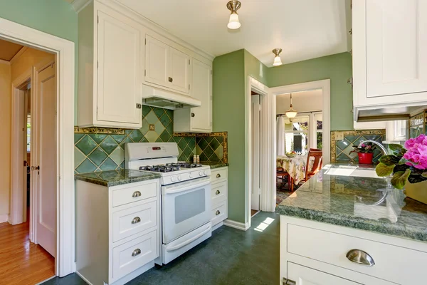 Classic American kitchen room interior in green and white tones — Stock Photo, Image