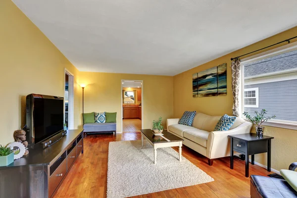 Interior de la sala de estar con piso de madera, alfombra y televisor —  Fotos de Stock