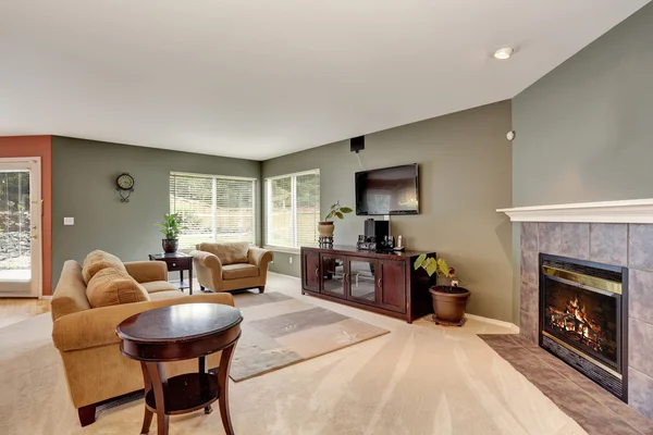 Living room interior with green walls, tv set and fireplace. — Stock Photo, Image