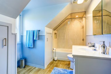 White and blue bathroom with shower and vaulted ceiling