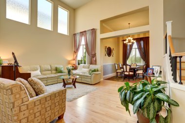 Deri kanepeler ile hafif tonlarda rahat oturma odası iç