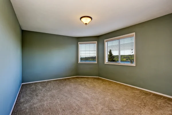 Intérieur de la chambre vide avec murs verts et sol tapis — Photo