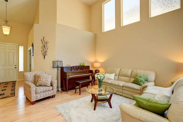 Útulný interiér obývacího pokoje ve světlických tónech s koženými pohovka — Stock fotografie