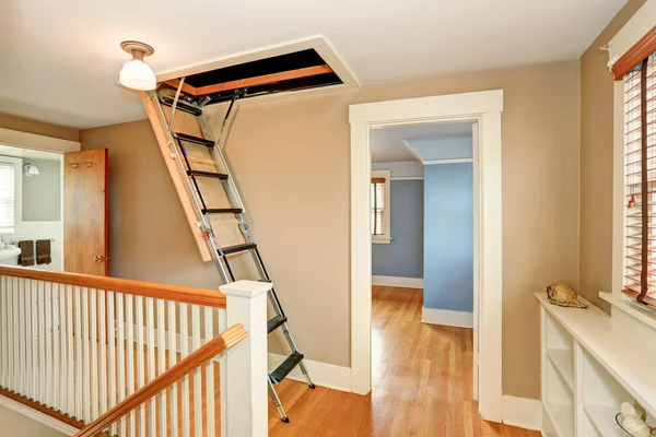 Folding ladder Stock Photos, Royalty Free Folding ladder Images | Depositphotos