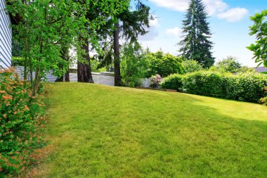 Arka bahçe iyi çim, güzel kesilmiş çim ve çalılar tuttu
