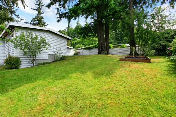 Backyard well kept lawn, nicely trimmed grass and bushes — Stock Photo, Image