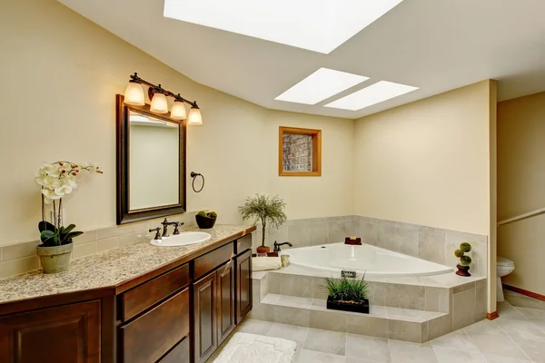 Granit tezgahlı makyaj dolabı ile modern banyo — Stok fotoğraf