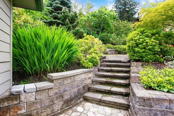 Вид на бетонную лестницу в сад на заднем дворе . — стоковое фото