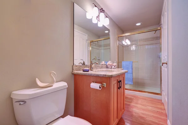 Kaca shower dan lemari kesombongan di kamar mandi cerah — Stok Foto
