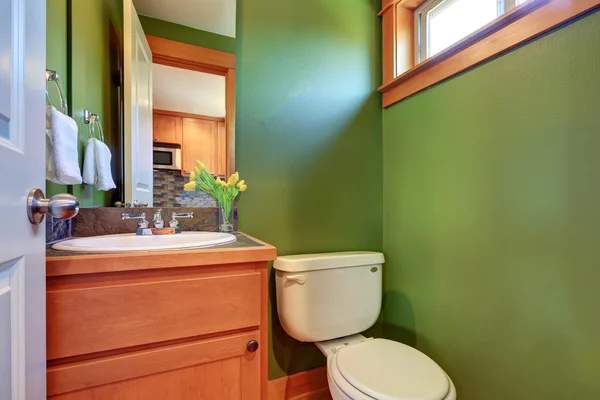 Bagno verde con lavabo e servizi igienici — Foto Stock