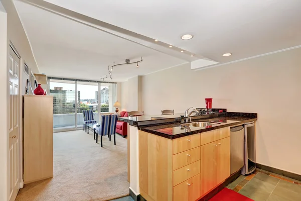 Appartement interieur. Keukeneiland uitzicht met woonkamer — Stockfoto