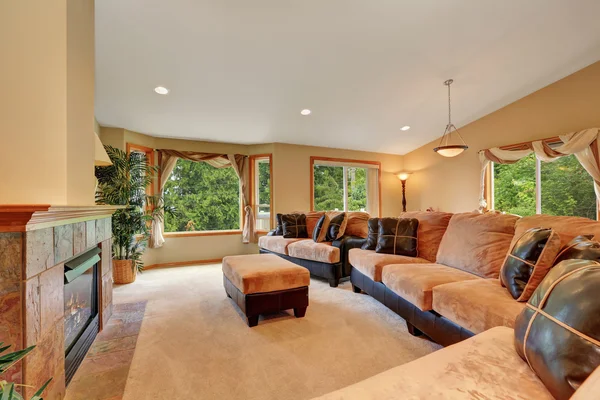 Gorgeous living room interior with beige velvet and leather sofa — Stock Photo, Image