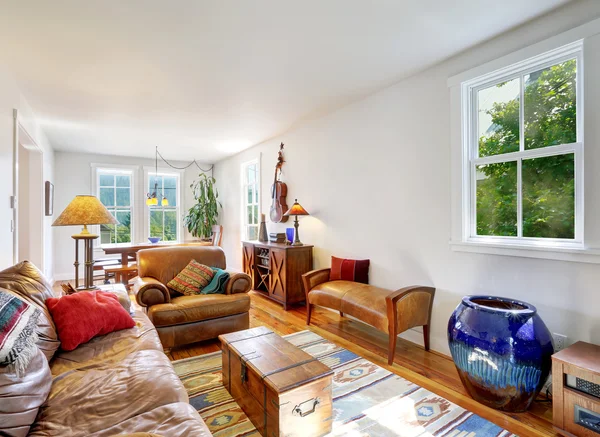 White walls living room with brown sofas and chest — Φωτογραφία Αρχείου