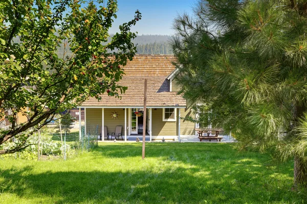 Jardim de quintal verde com árvores e camas de legumes — Fotografia de Stock