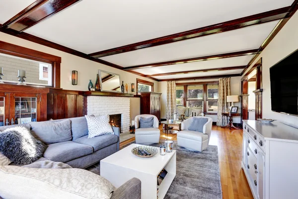 American luxurious living room interior in grey and brown tones — Stock Photo, Image