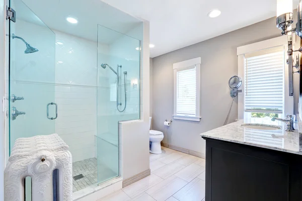 Baño refrescante con cabina de ducha y radiador de hierro fundido — Foto de Stock