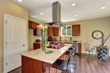 Paslanmaz çelik aletlere sahip geleneksel Amerikan mutfağı. 